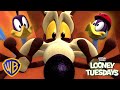 Wile E Coyote Vs Road Runner Who Will WIN Looney Tuesdays KidsCartoons Wbkids​