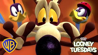 Thumbnail