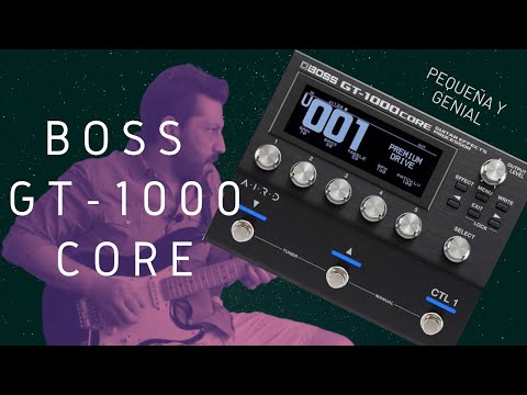 BOSS GT-1000 CORE | Pedal de Expresión y Controles externos | Conexiones a otros Amplis.