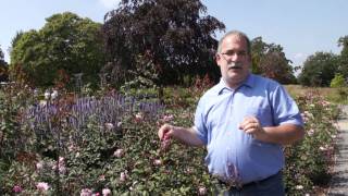 Mortimer Sackler in Wisley bei der Royal Horticulture Society