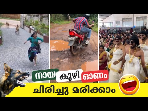 God's Own Country | Comic Genius