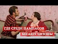 Где среди пампасов бегают бизоны (песня из кинофильма "12 стульев") 