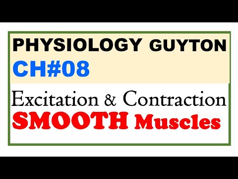 Ch#08 Physiology Guyton | Excitation and Contraction of SMOOTH Muscles | | Dr Asif Lectures