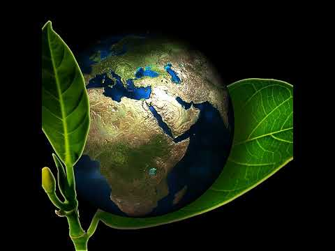 🎙️ War Update InfoPod — Who or what is Hezbollah? #infopod #warnews #breaking