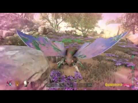 Como Tamear un Lymantria ARk