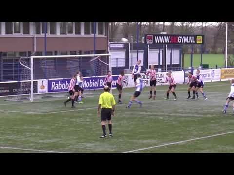 ADO '20.O17-1  -  HOLLANDIA.O17-2