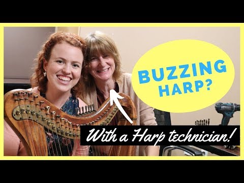 6 Reasons your Harp is Buzzing (feat. Liza Jensen)