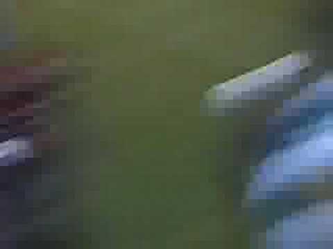 Coxa - Coritiba Football Club - Gol do Henrique Dias