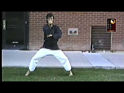 Naihanchi 2 -Shihan Robert Cusumano