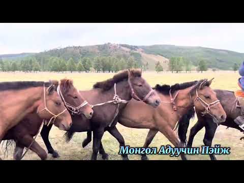 Намрын тэргүүн сарын шинийн нэгний мэндээ🇲🇳Архангай Цэнхэр сум "СУВРАГА ХАЙРХАН" Орхон голын эх