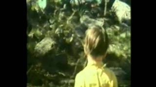 Little boy lost.wmv