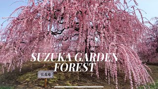 Suzuka Garden Forest
