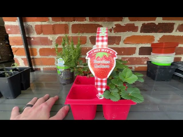 Best Wire Storage Shelf with Wheels Review - close-up view