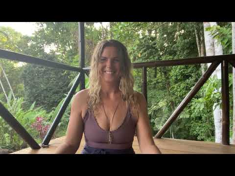 Guided Meditation Jungle