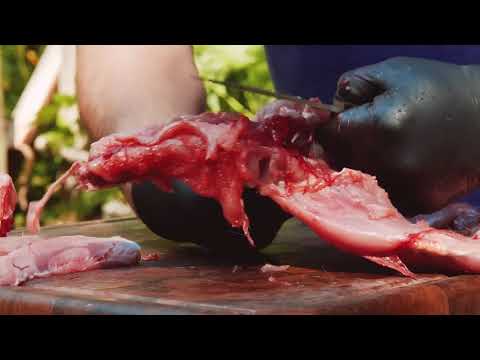 How to butcher a rabbit: step-by-step instructional