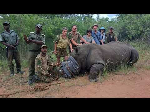 Rescuing Imperiled Wildlife in South Africa