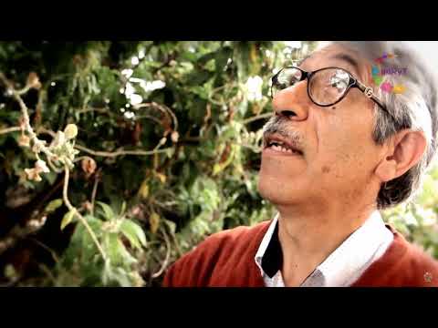 download lagu mp3 mp4 Que Son Los Cazahuates, download lagu Que Son Los Cazahuates gratis, unduh video klip Download Que Son Los Cazahuates Mp3 dan Mp4 Youtube Gratis