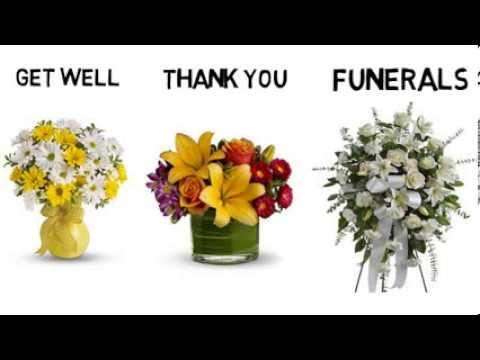 download lagu mp3 mp4 Flower Delivery Mesa Az, download lagu Flower Delivery Mesa Az gratis, unduh video klip Flower Delivery Mesa Az