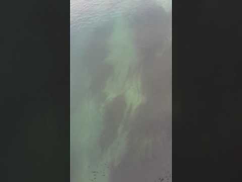 BODENSEE  - KONSTANZ - JEDE TIEFE ERFAHRUNG WEIST ÜBER SICH HINAUS UND RUFT IN UNS ETWAS WACH