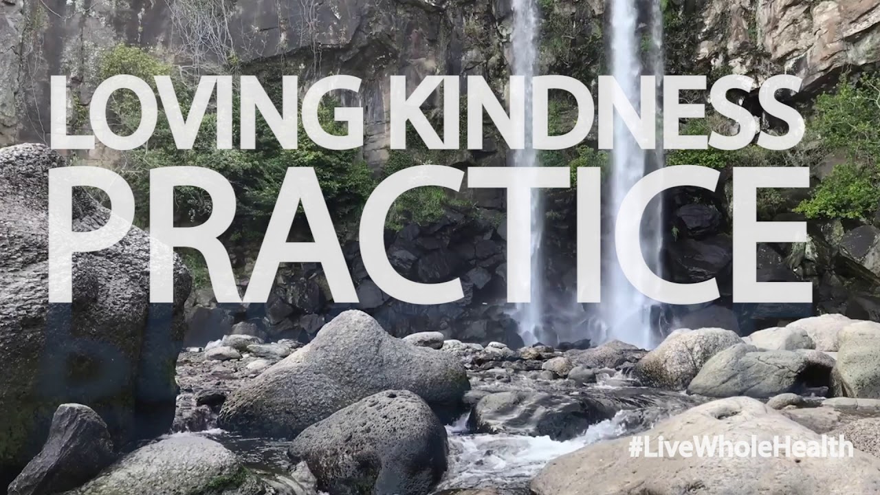 Live Whole Health #213: Doing the best we can 1