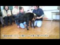 介助犬との交流学習～豊島区立池袋第三小学校５年生の授業