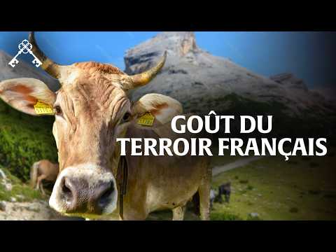 Aubrac : les secrets de la grande cuisine et du terroir | Trésors du Patrimoine