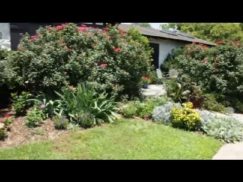 How to Landscape Your Yard Like an English Garden : Landscaping Tips