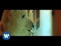 Vance Joy - "Mess is Mine" [Official Video ...