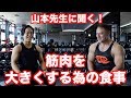 筋肉を大きくする為の食事。バルクアップの方法を山本義徳先生に習う。