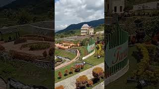 Download lagu Story Wa keren,  Kebun Raya Liwa,  Lampung barat. mp3