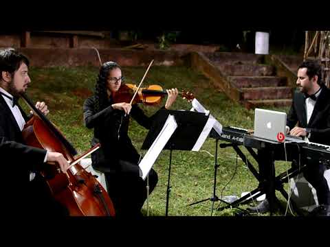 Blackbird | M�sica Para Casamento