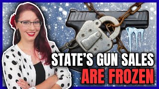 State's Gun Sales Are Frozen