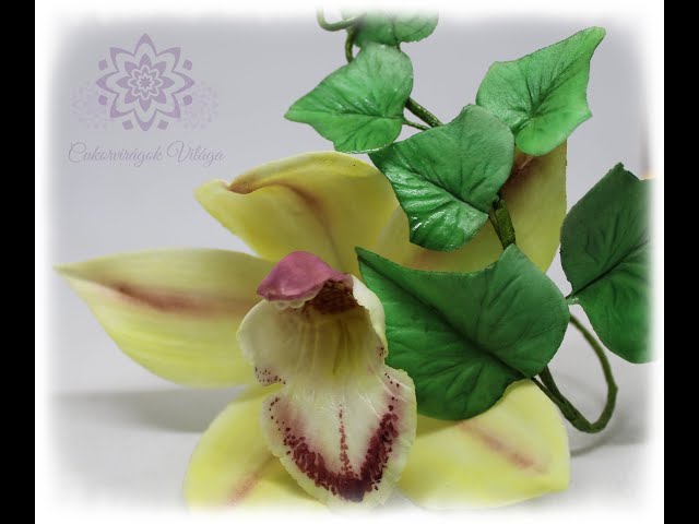 Csónakorchidea szirmok készítése cukormasszából Cukorvirágok Világa