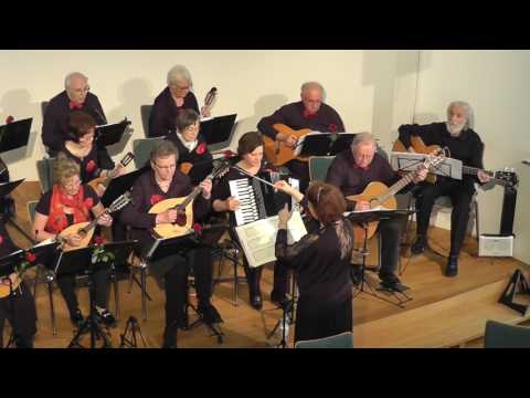 NaturFreunde Orchester Lauf spielt Vivaldi Mandolinenkonzert in C Major