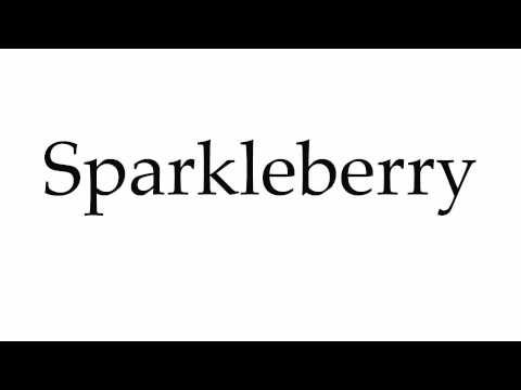 How to Pronounce Sparkleberry
