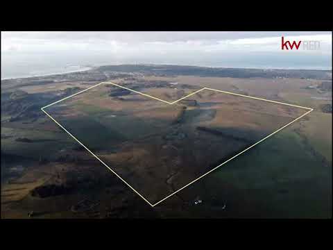 Video de YouTube - VENTA CAMPO ROCHA 224 HAS RUTA 10 Y 15