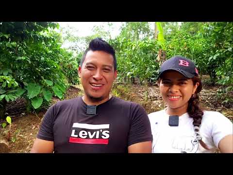 El tumbador san marcos !