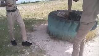 Long run short catch