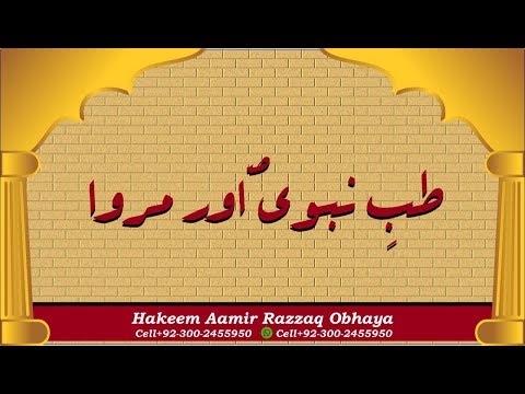 download lagu mp3 mp4 Origanum Majorana Benefits, download lagu Origanum Majorana Benefits gratis, unduh video klip Origanum Majorana Benefits