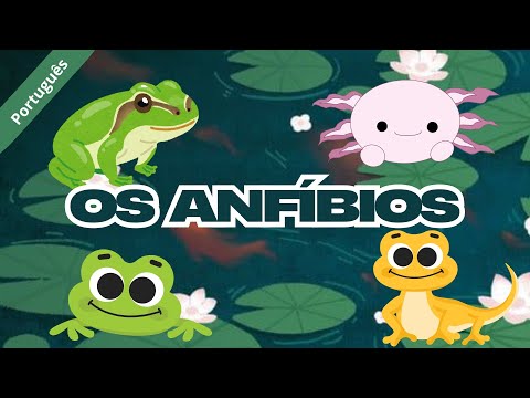 Os anfíbios | Video educativo para crianças | Curiosidades incríveis em PORTUGUÊS @Littlekoala92 🐸💚