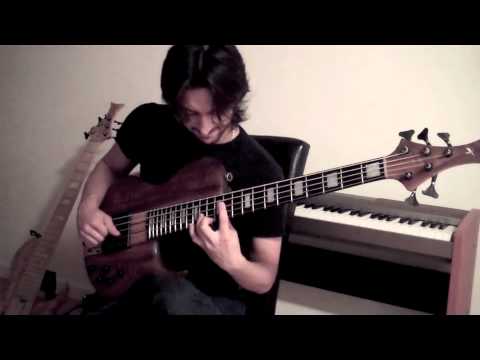 Penny Lane - Chord Melody on Bass Guitar (by Andres Rotmistrovsky)