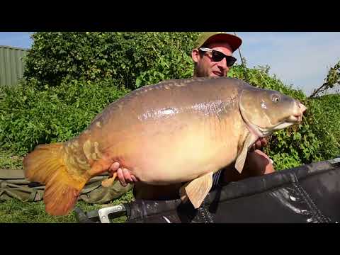 Carp fishing in Hungary at lake Merenye