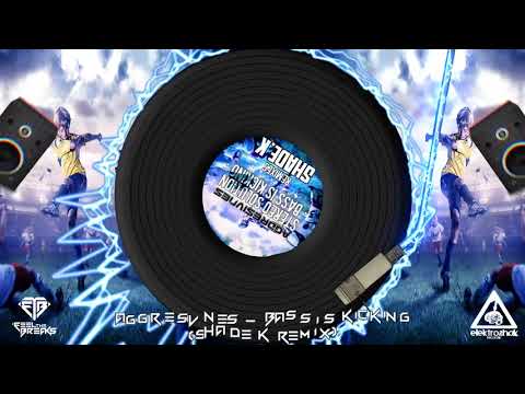 Aggresivnes - Bass Is Kicking (Shade K Remix)