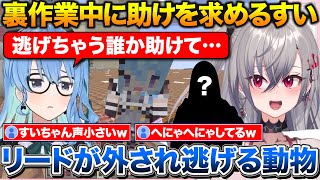 助けを求めるすいちゃんと現場に戻ってくる犯人+トワ様が自分の事好きかもと勘違いするりおーな【ホロライブ/響咲リオナ/常闇トワ/星街すいせい/虎金妃笑虎】