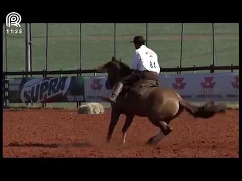 Classificatória Região SC/PR – 2° lugar machos – Capanegra Oguindo (Prova: Bayard/Sarmento)