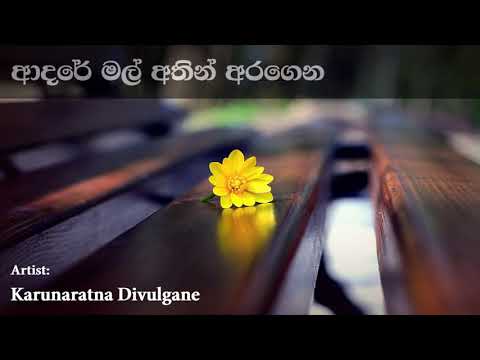 Adare Mal Athin Aragena ආදරේ මල් අතින් අරගෙන | Karunarathna Divulgane