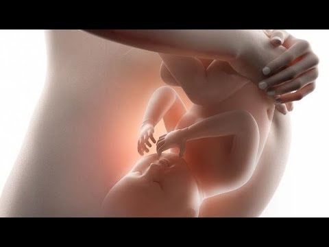 Osteocondrosi dei sintomi della colonna cervicale ed effetti Ciò compresse drink al dellarticolazione dellanca