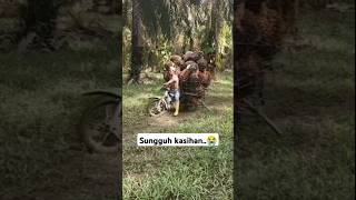 Download lagu The moment the palm oil motorcycle taxi overturned.. mp3