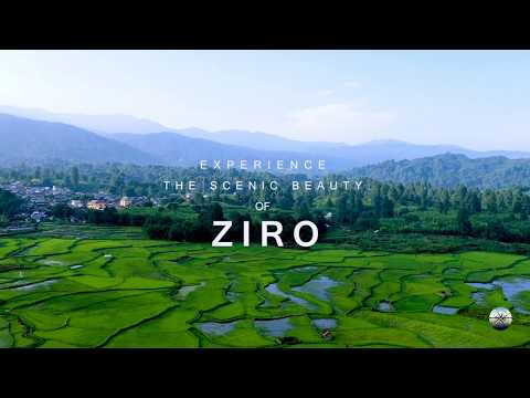 download lagu mp3 mp4 Ziro Music Festival Lineup, download lagu Ziro Music Festival Lineup gratis, unduh video klip Ziro Music Festival Lineup