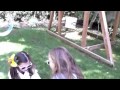 Neosporin Commercial